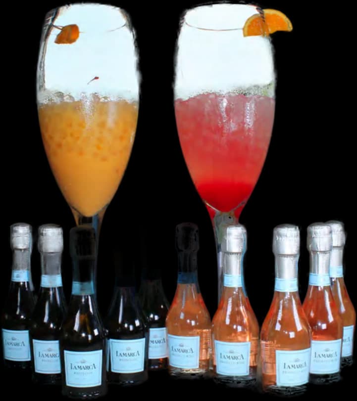Giant Frida's Mimosas