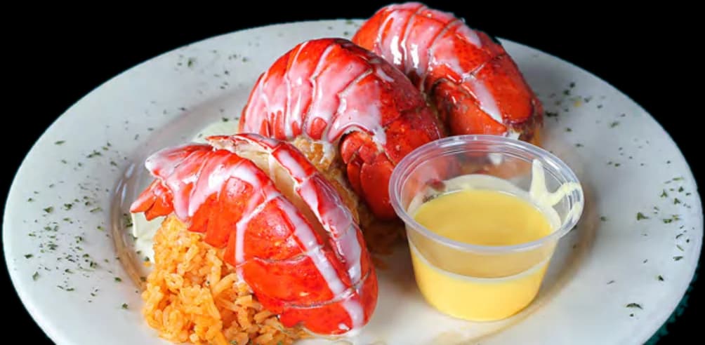 Periquito Lobster